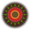 mandala5